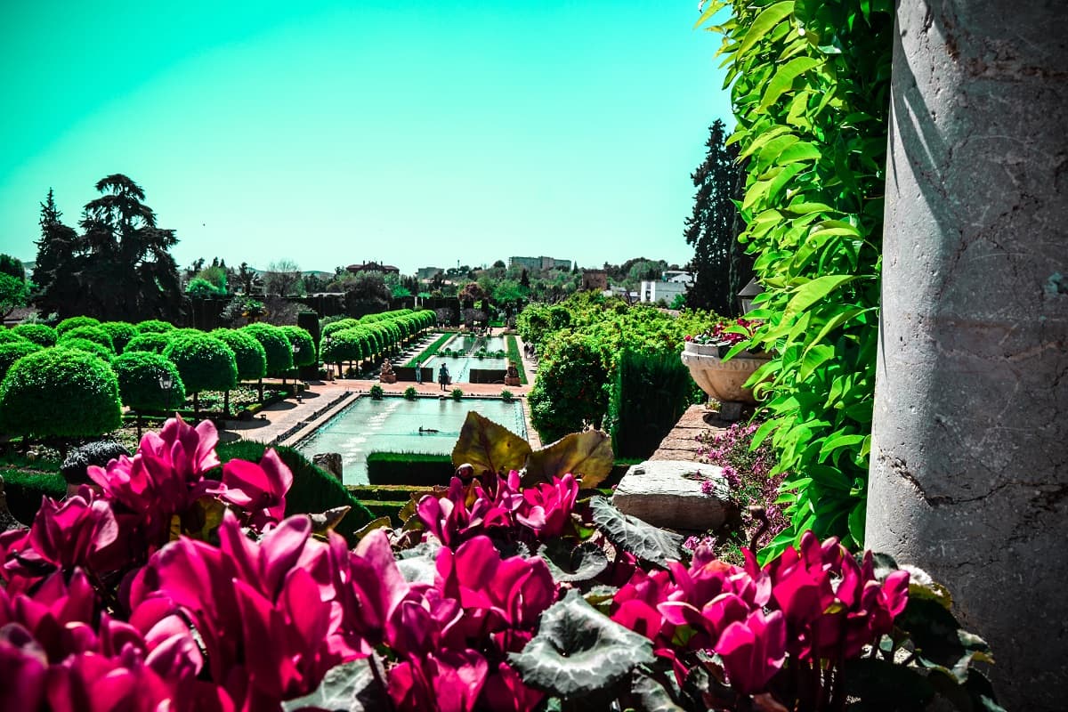 Alcazar guided tour with tickets