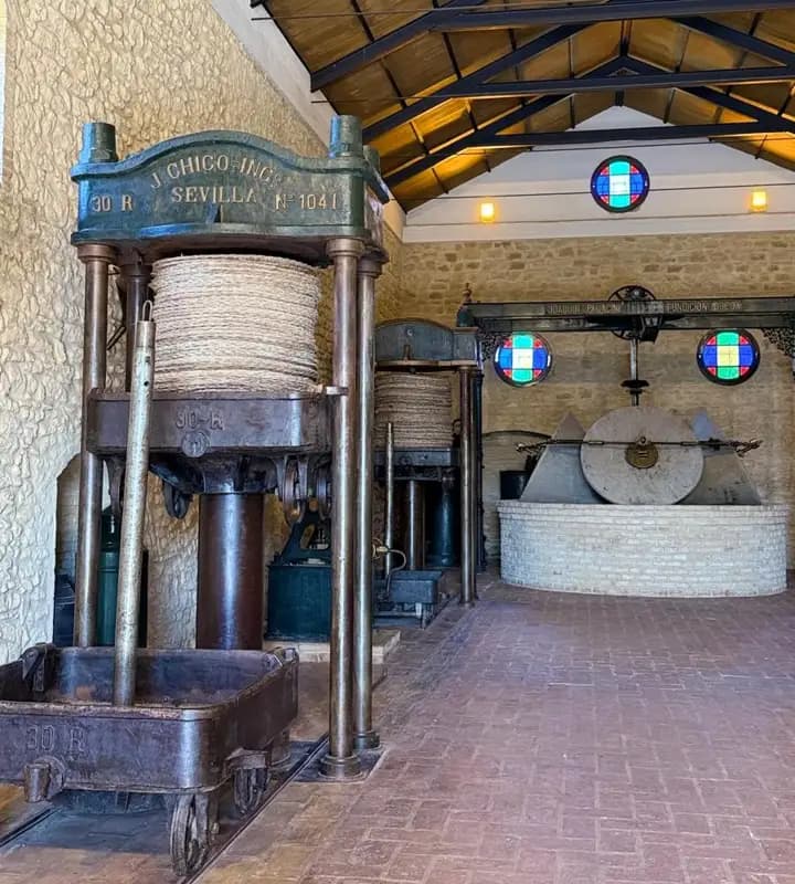 Visita oleoturismo a almazara - interior